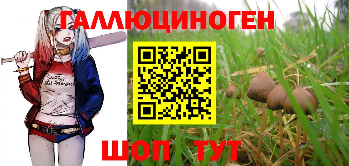 Галлюциногенные грибы Magic Shrooms  Вход с VPN  наркота  Лыткарино 